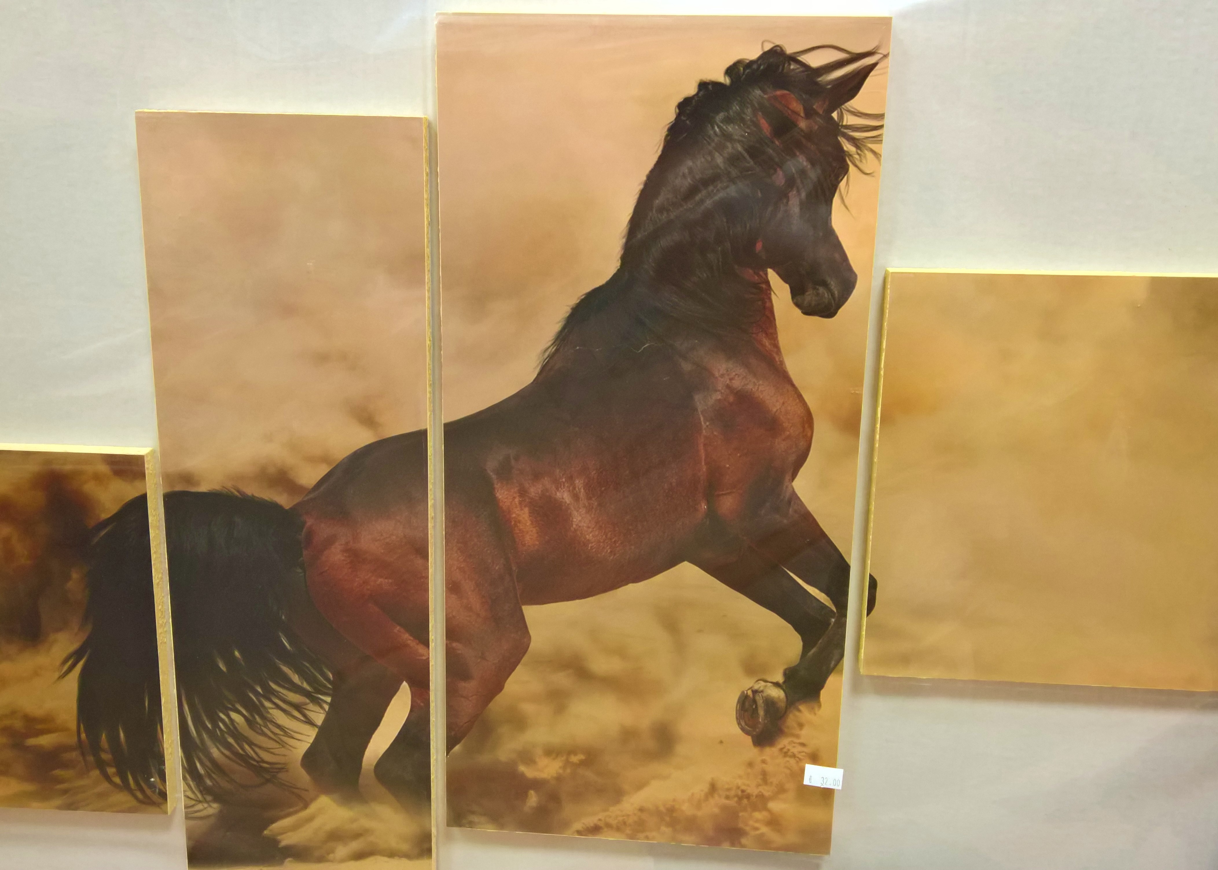 Obraz "Divoký koň"